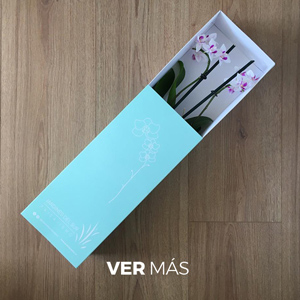 Diseño Packaging